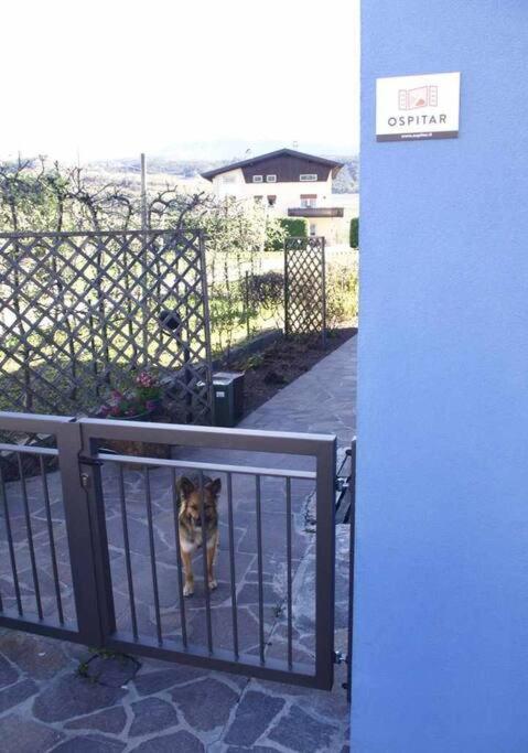 Apartamento Casa Del Tempo Irma Tassullo Ospitar Exterior foto